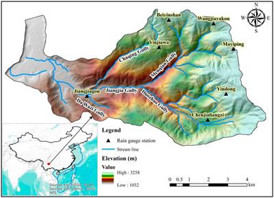 Temporal Characteristics of Debris Flow Surges